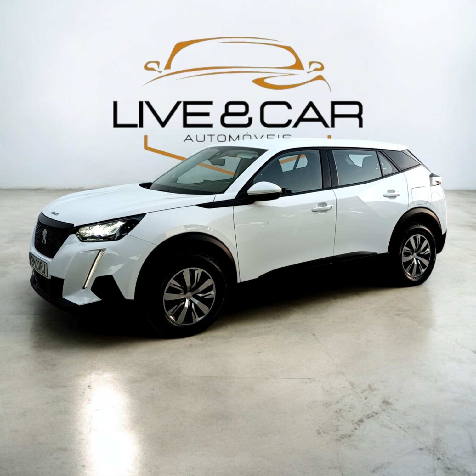 Peugeot 2008 BlueHDI