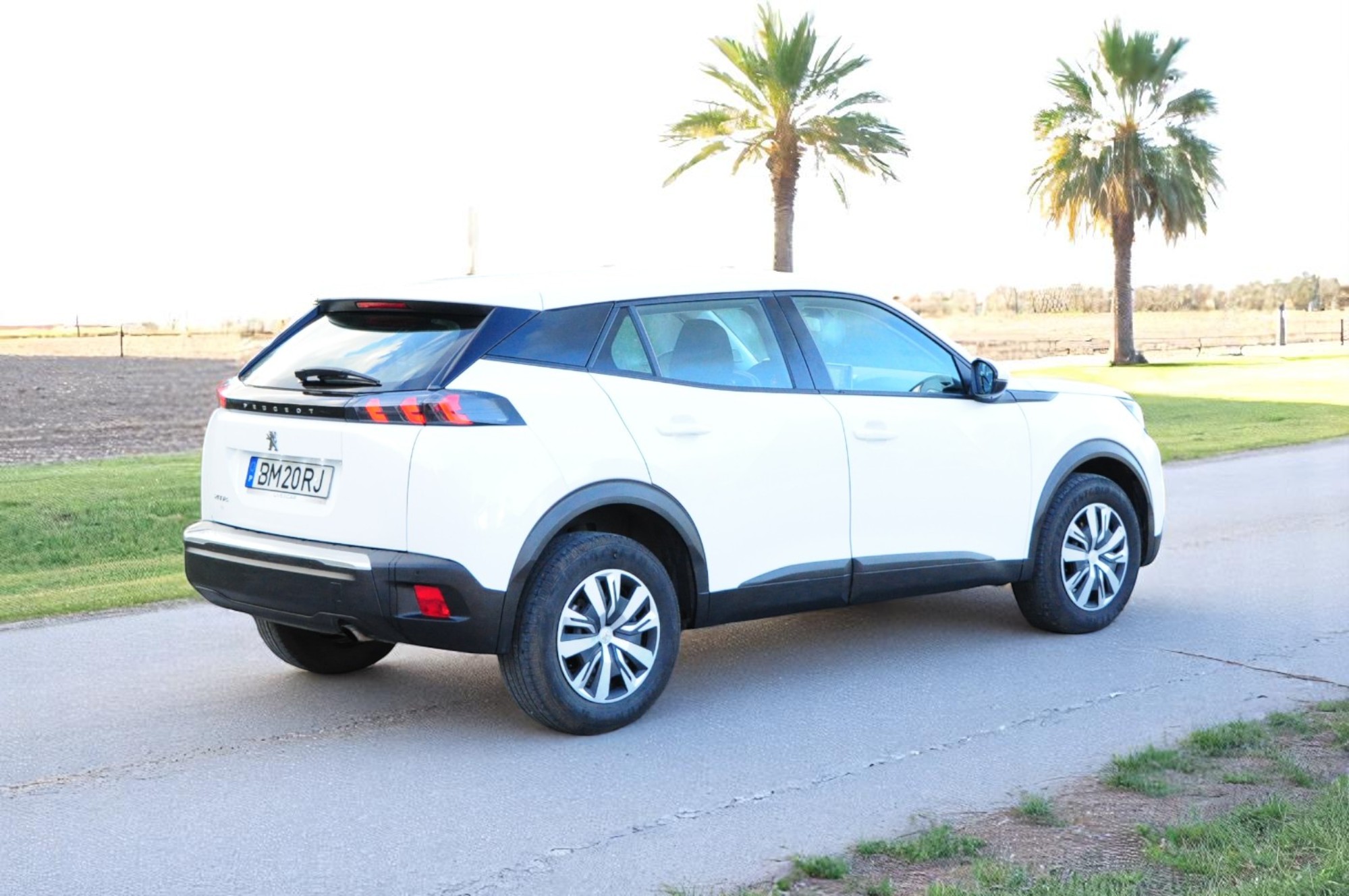 
								Peugeot 2008 BlueHDI 2020 – Usado – Gasóleo – Faro, Algarve cheio									