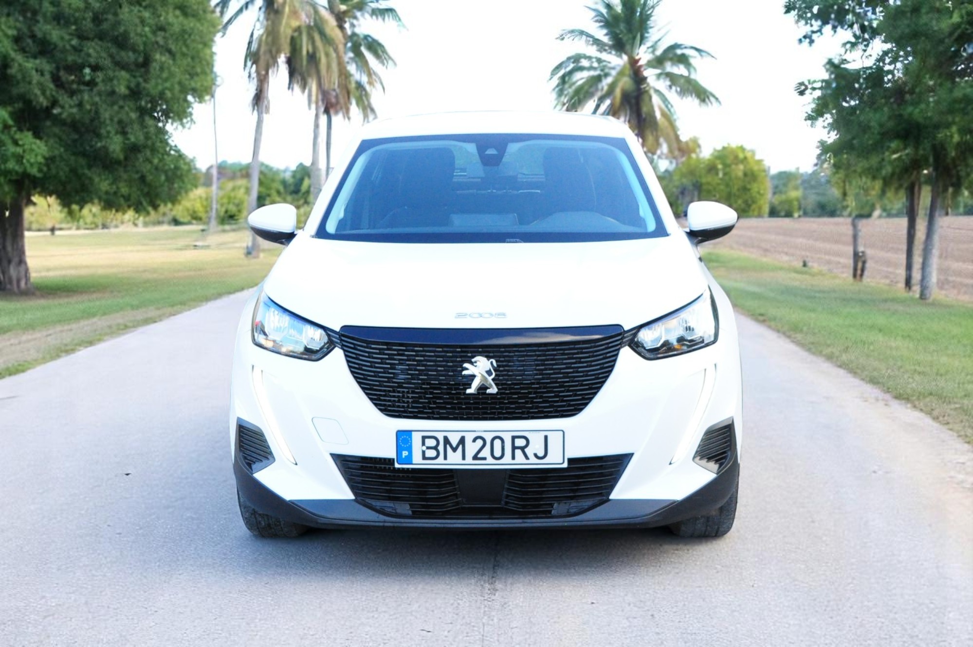
								Peugeot 2008 BlueHDI 2020 – Usado – Gasóleo – Faro, Algarve cheio									