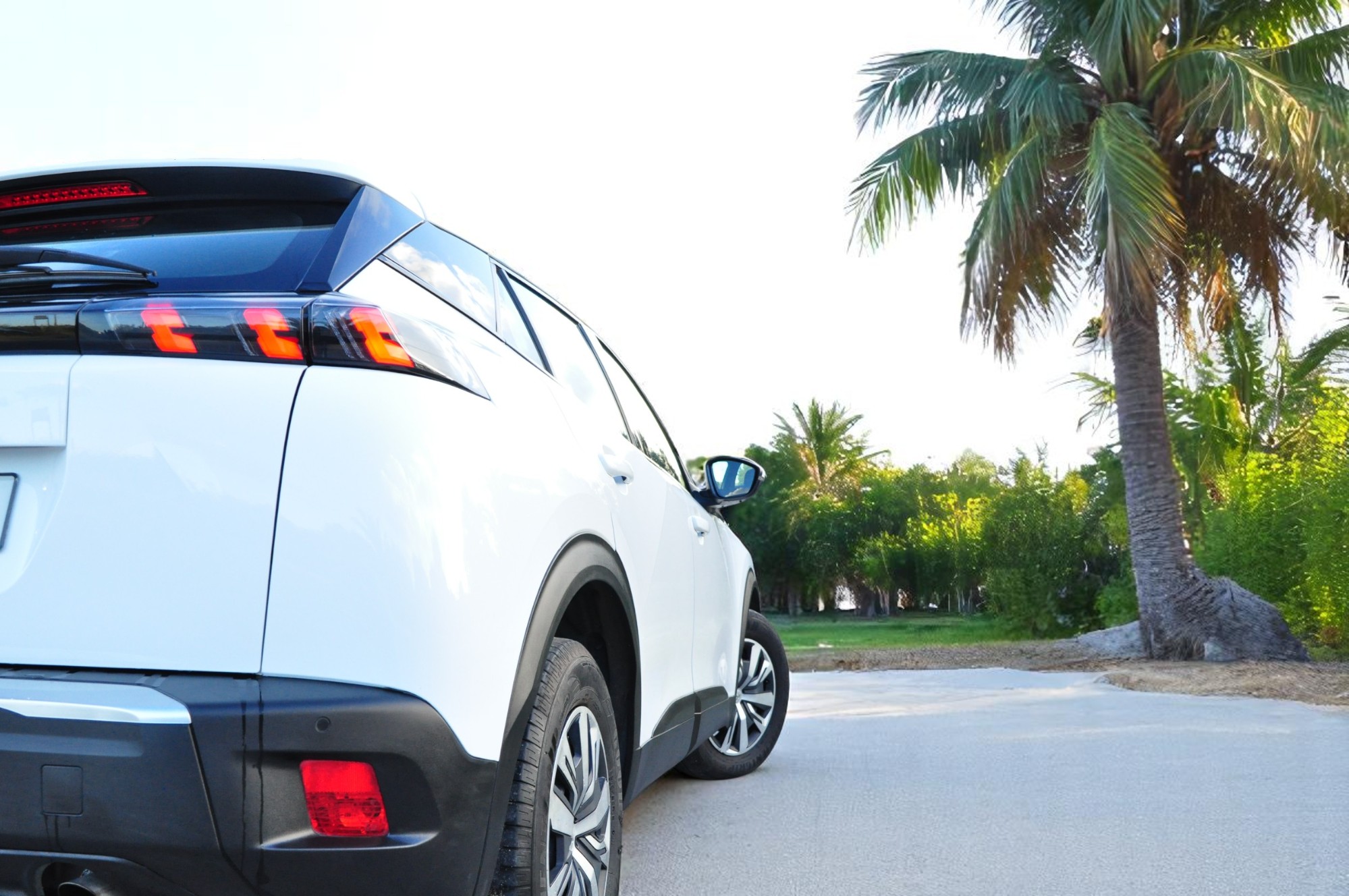 
								Peugeot 2008 BlueHDI 2020 – Usado – Gasóleo – Faro, Algarve cheio									