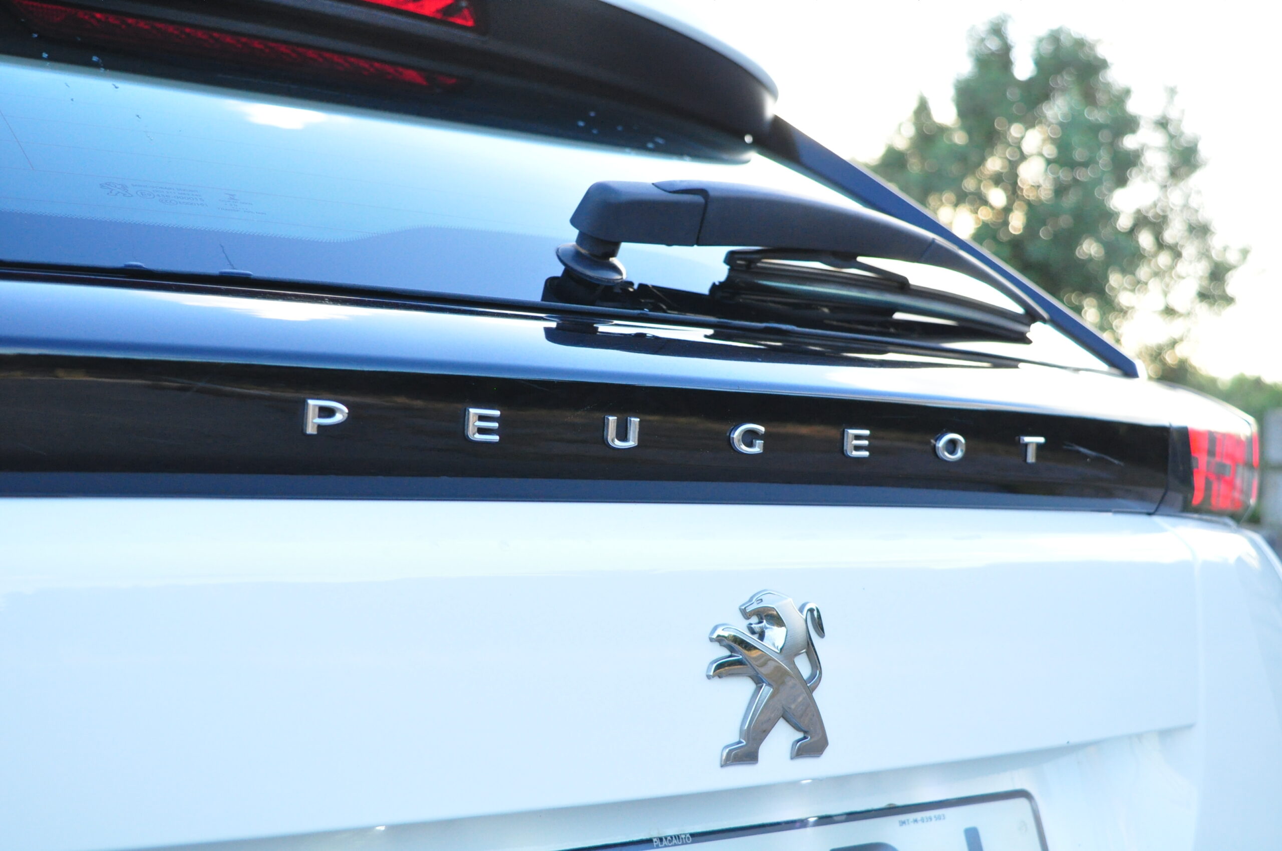 
								Peugeot 2008 BlueHDI 2020 – Usado – Gasóleo – Faro, Algarve cheio									